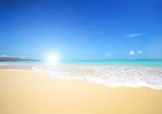 ハワイの朝Morning Glory.jpgのサムネイル画像のサムネイル画像のサムネイル画像のサムネイル画像のサムネイル画像